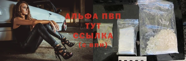 PSILOCYBIN Беломорск