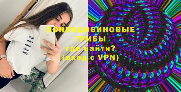 PSILOCYBIN Беломорск