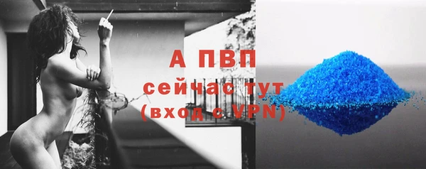 PSILOCYBIN Беломорск